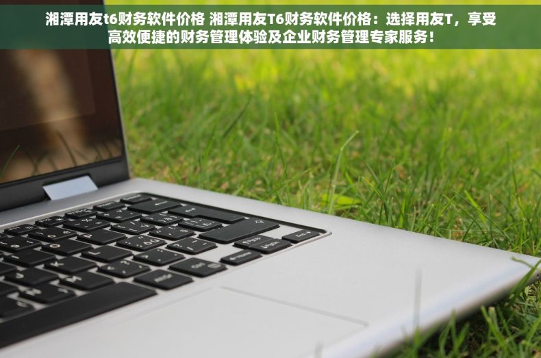 湘潭用友t6财务软件价格 湘潭用友T6财务软件价格：选择用友T，享受高效便捷的财务管理体验及企业财务管理专家服务！