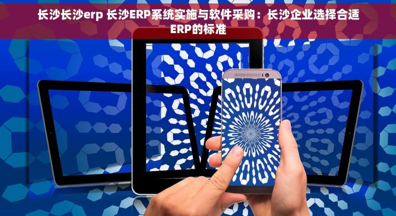 长沙长沙erp 长沙ERP系统实施与软件采购：长沙企业选择合适ERP的标准