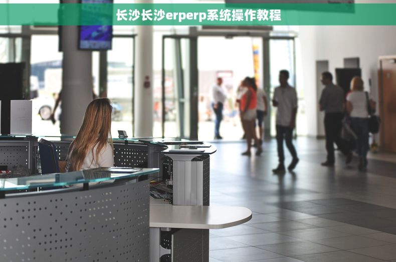 长沙长沙erperp系统操作教程