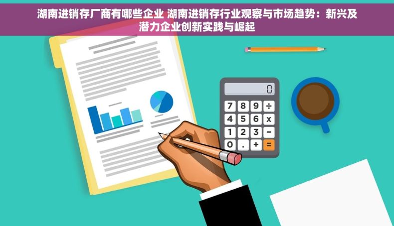湖南进销存厂商有哪些企业 湖南进销存行业观察与市场趋势：新兴及潜力企业创新实践与崛起