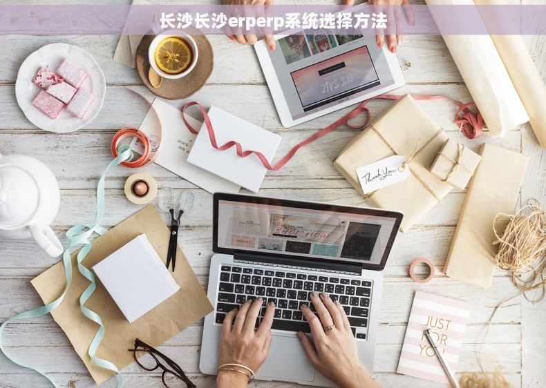 长沙长沙erperp系统选择方法