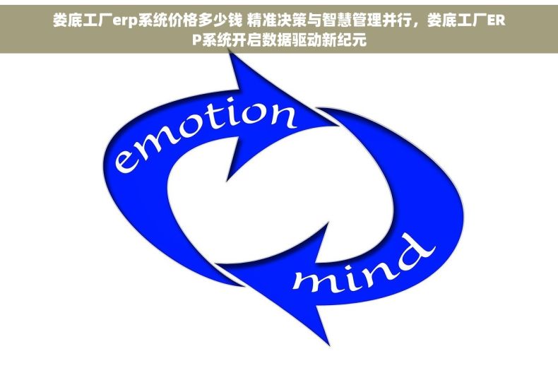 娄底工厂erp系统价格多少钱 精准决策与智慧管理并行，娄底工厂ERP系统开启数据驱动新纪元
