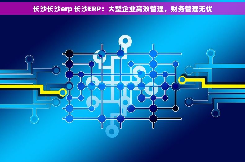 长沙长沙erp 长沙ERP：大型企业高效管理，财务管理无忧