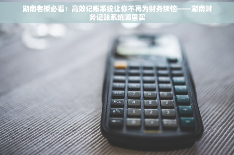 湖南老板必看：高效记账系统让你不再为财务烦恼——湖南财务记账系统哪里买