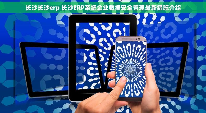 长沙长沙erp 长沙ERP系统企业数据安全管理最新措施介绍