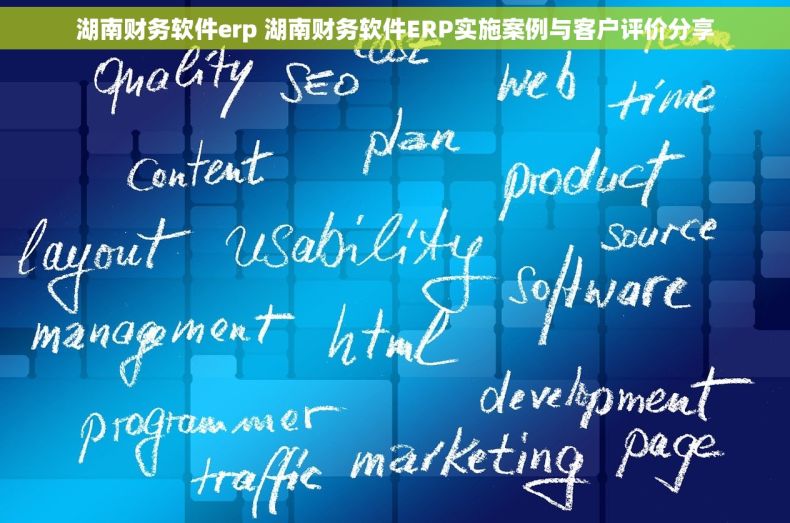 湖南财务软件erp 湖南财务软件ERP实施案例与客户评价分享