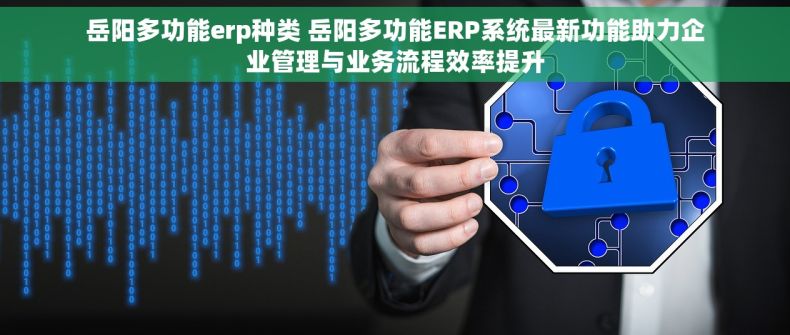 岳阳多功能erp种类 岳阳多功能ERP系统最新功能助力企业管理与业务流程效率提升
