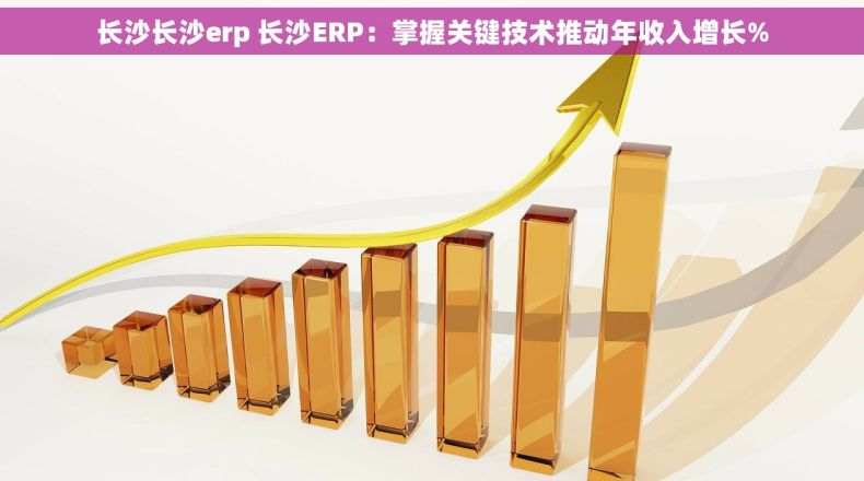 长沙长沙erp 长沙ERP：掌握关键技术推动年收入增长%