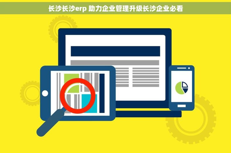长沙长沙erp 助力企业管理升级长沙企业必看