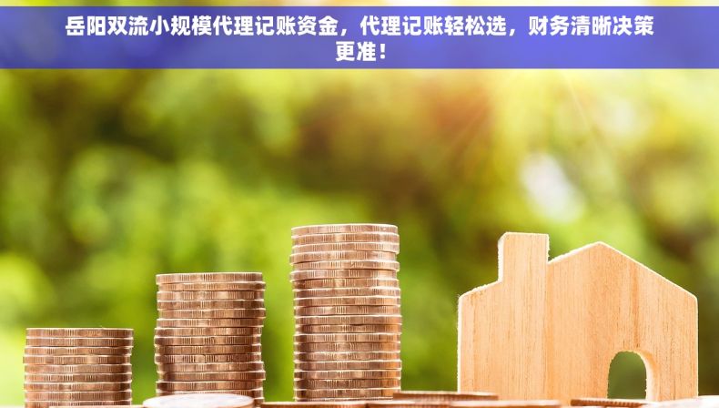 岳阳双流小规模代理记账资金，代理记账轻松选，财务清晰决策更准！