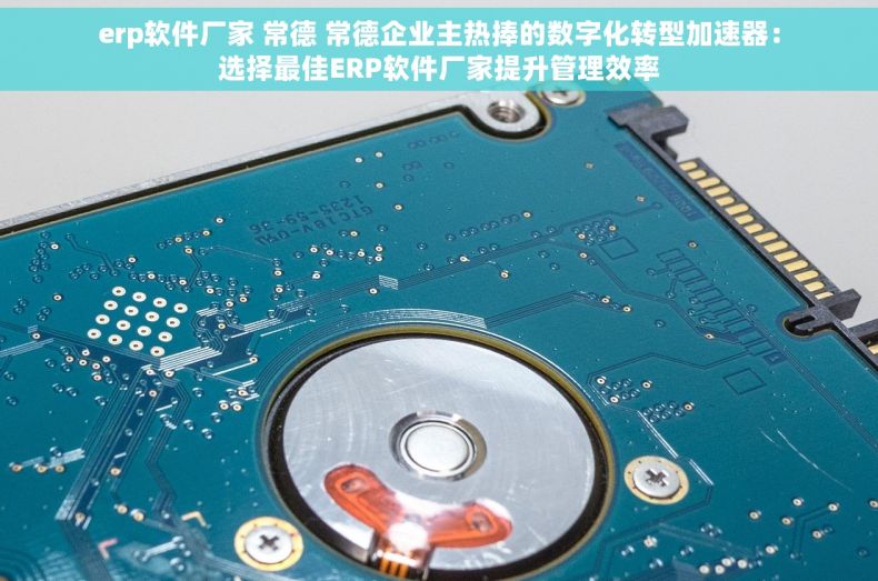 erp软件厂家 常德 常德企业主热捧的数字化转型加速器：选择最佳ERP软件厂家提升管理效率