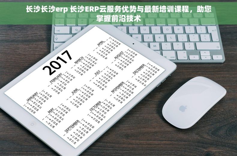 长沙长沙erp 长沙ERP云服务优势与最新培训课程，助您掌握前沿技术