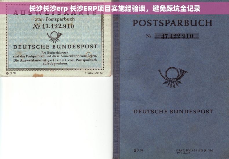 长沙长沙erp 长沙ERP项目实施经验谈，避免踩坑全记录
