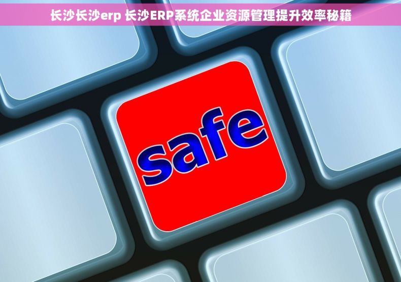 长沙长沙erp 长沙ERP系统企业资源管理提升效率秘籍