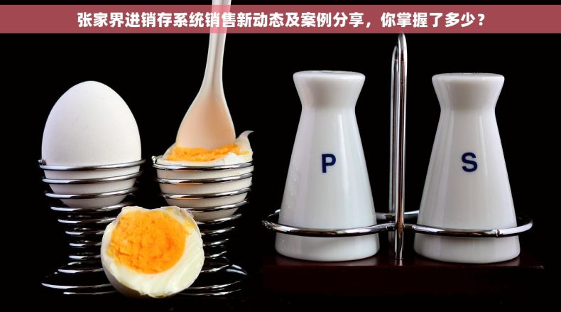 张家界进销存系统销售新动态及案例分享，你掌握了多少？