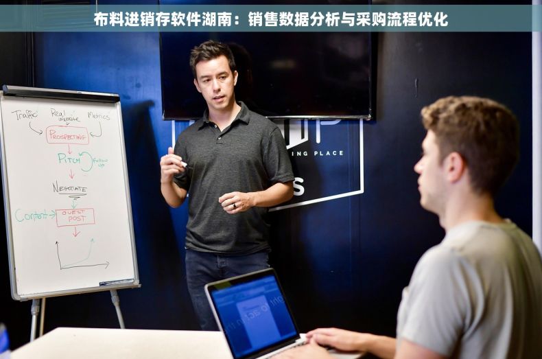 布料进销存软件湖南：销售数据分析与采购流程优化