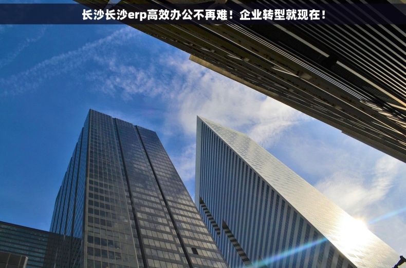 长沙长沙erp高效办公不再难！企业转型就现在！