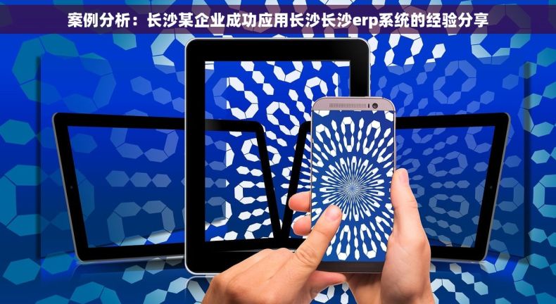 案例分析：长沙某企业成功应用长沙长沙erp系统的经验分享