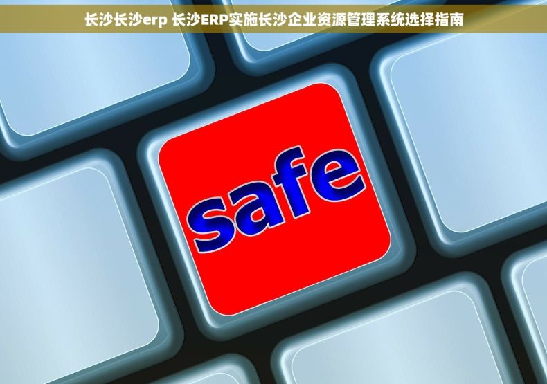 长沙长沙erp 长沙ERP实施长沙企业资源管理系统选择指南