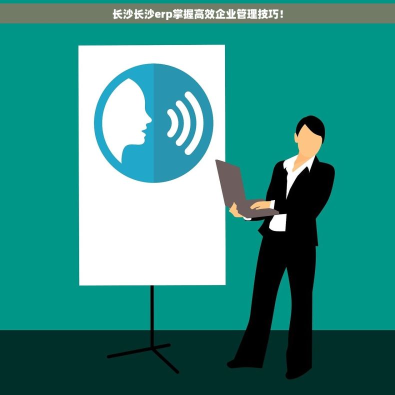 长沙长沙erp掌握高效企业管理技巧！
