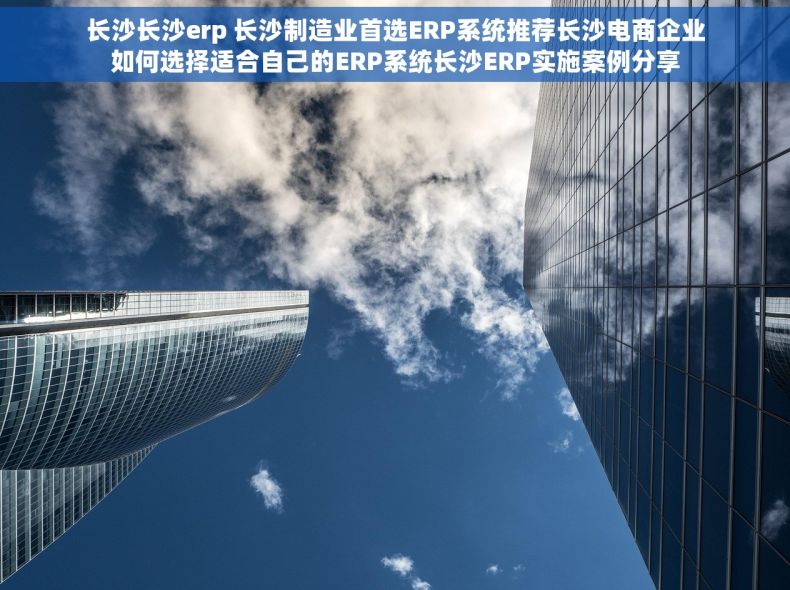 长沙长沙erp 长沙制造业首选ERP系统推荐长沙电商企业如何选择适合自己的ERP系统长沙ERP实施案例分享