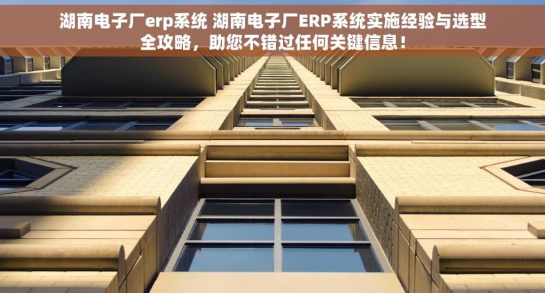 湖南电子厂erp系统 湖南电子厂ERP系统实施经验与选型全攻略，助您不错过任何关键信息！