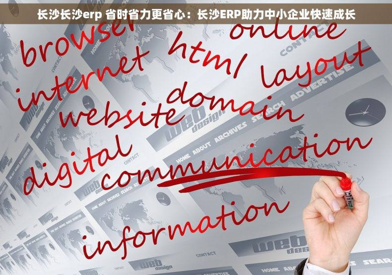 长沙长沙erp 省时省力更省心：长沙ERP助力中小企业快速成长