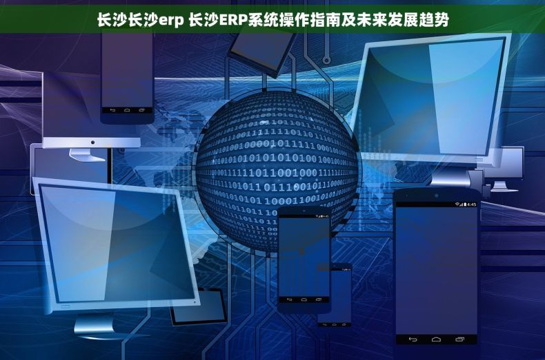 长沙长沙erp 长沙ERP系统操作指南及未来发展趋势