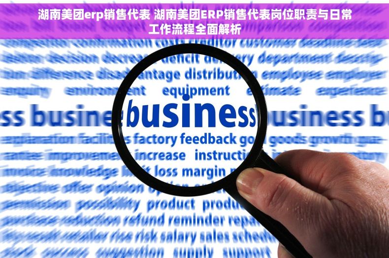 湖南美团erp销售代表 湖南美团ERP销售代表岗位职责与日常工作流程全面解析