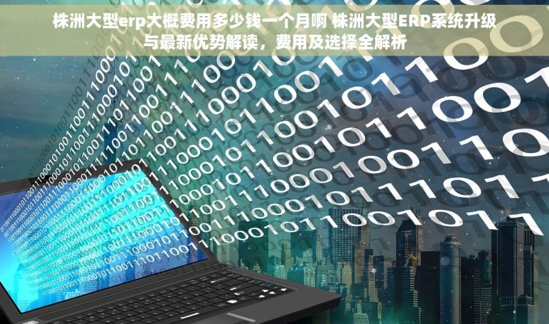 株洲大型erp大概费用多少钱一个月啊 株洲大型ERP系统升级与最新优势解读，费用及选择全解析