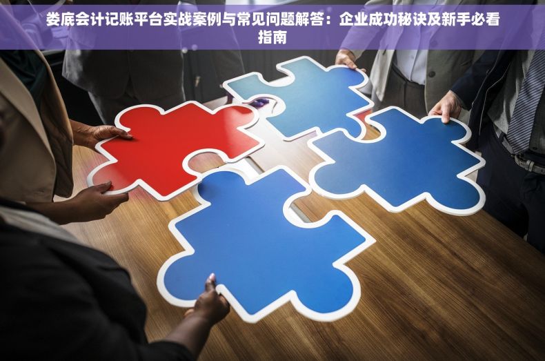 娄底会计记账平台实战案例与常见问题解答：企业成功秘诀及新手必看指南