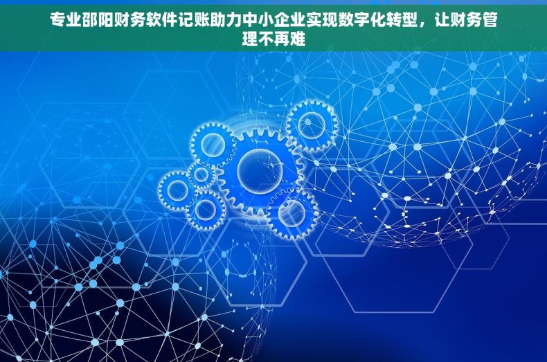 专业邵阳财务软件记账助力中小企业实现数字化转型，让财务管理不再难