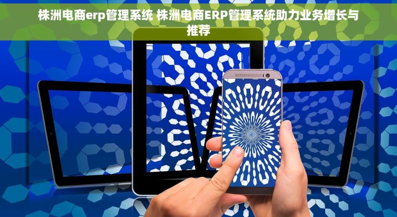 株洲电商erp管理系统 株洲电商ERP管理系统助力业务增长与推荐