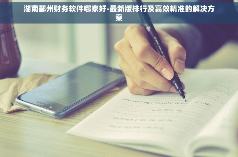 湖南鄞州财务软件哪家好-最新版排行及高效精准的解决方案