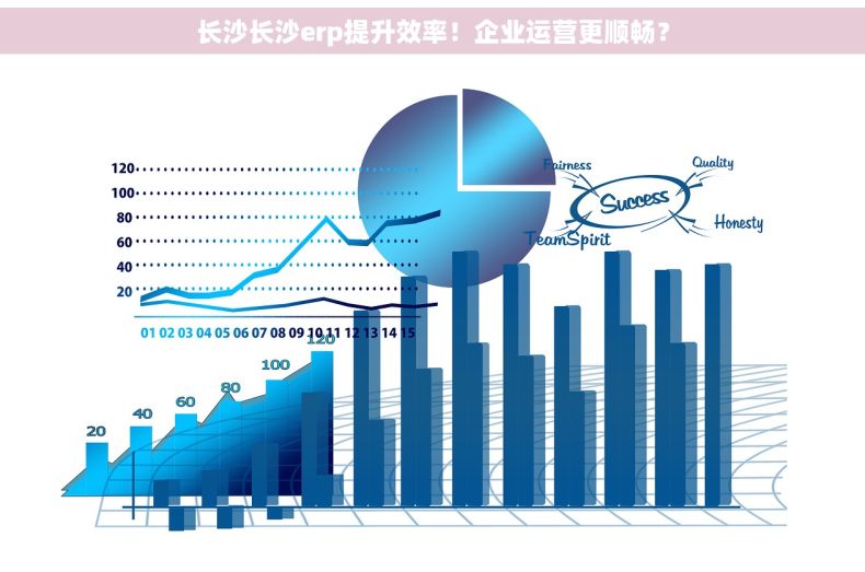 长沙长沙erp提升效率！企业运营更顺畅？