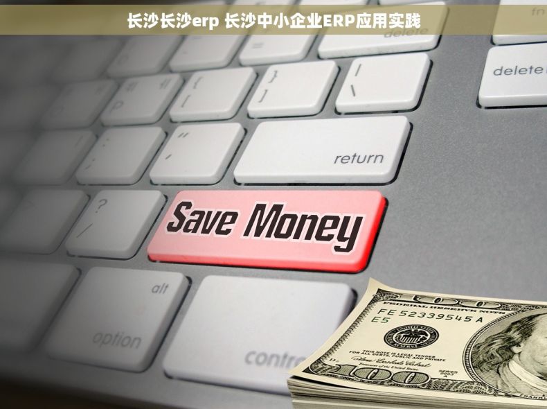 长沙长沙erp 长沙中小企业ERP应用实践