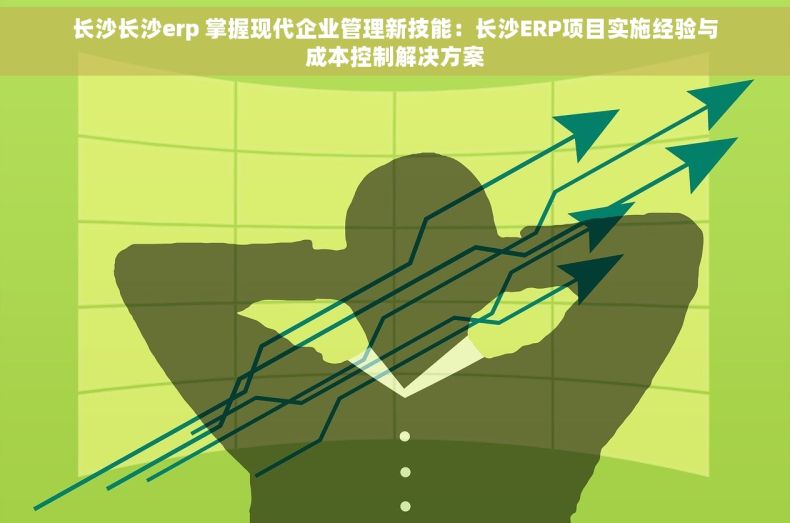 长沙长沙erp 掌握现代企业管理新技能：长沙ERP项目实施经验与成本控制解决方案