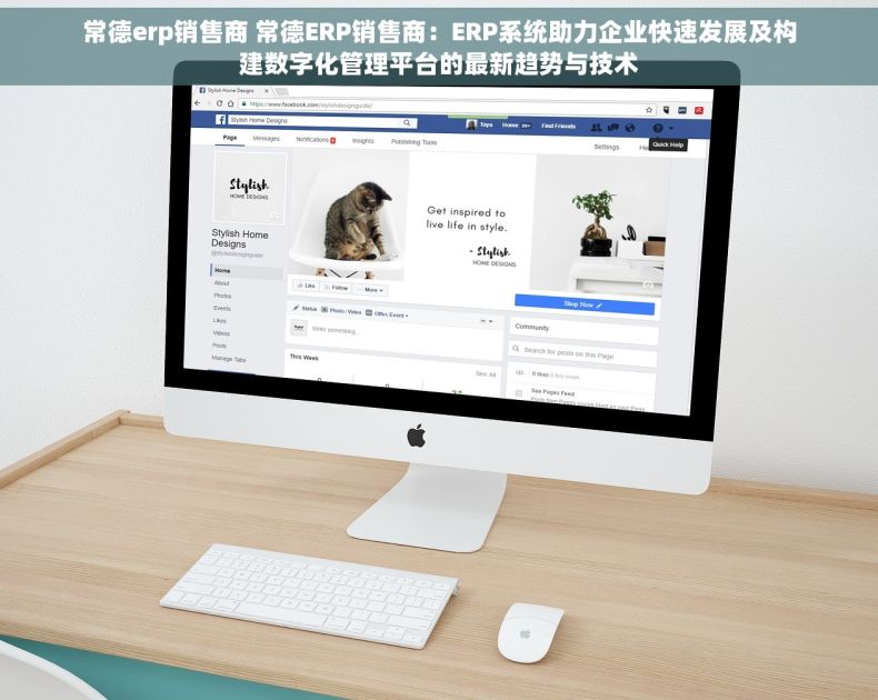常德erp销售商 常德ERP销售商：ERP系统助力企业快速发展及构建数字化管理平台的最新趋势与技术