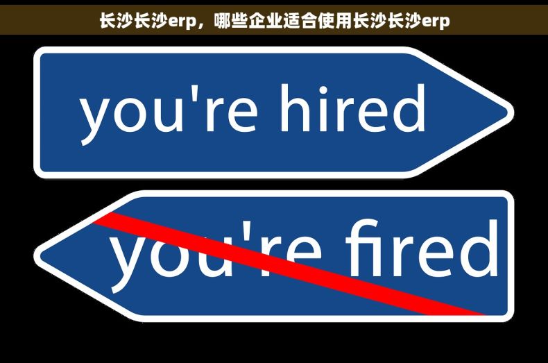 长沙长沙erp，哪些企业适合使用长沙长沙erp