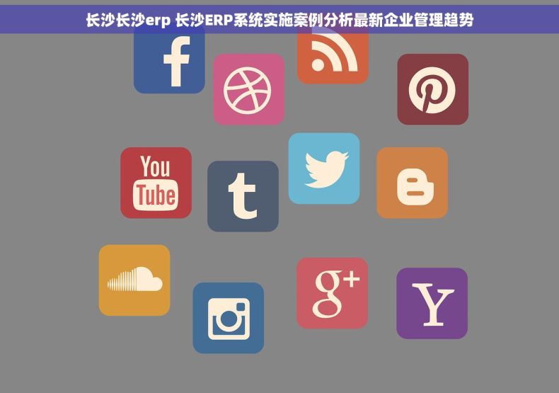 长沙长沙erp 长沙ERP系统实施案例分析最新企业管理趋势