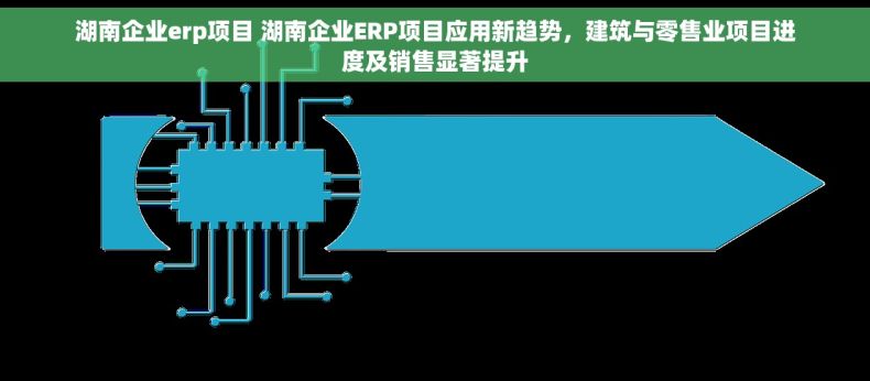 湖南企业erp项目 湖南企业ERP项目应用新趋势，建筑与零售业项目进度及销售显著提升