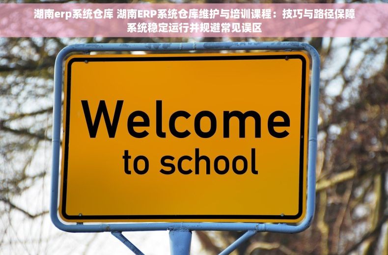 湖南erp系统仓库 湖南ERP系统仓库维护与培训课程：技巧与路径保障系统稳定运行并规避常见误区