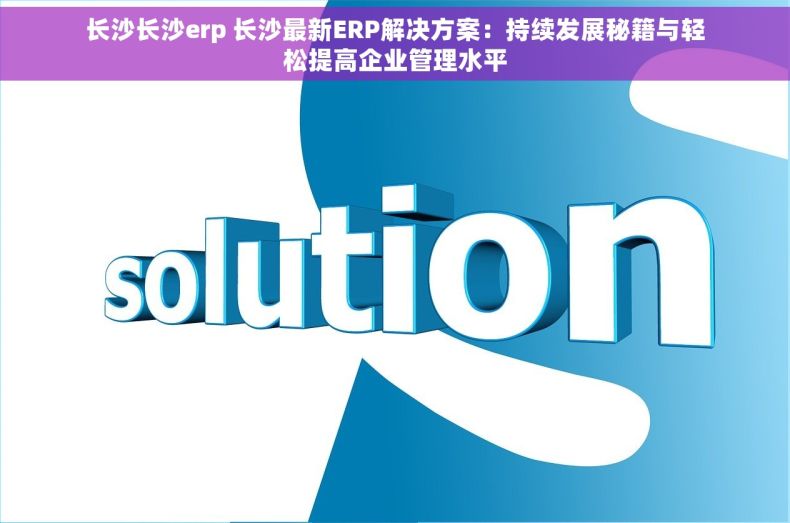 长沙长沙erp 长沙最新ERP解决方案：持续发展秘籍与轻松提高企业管理水平