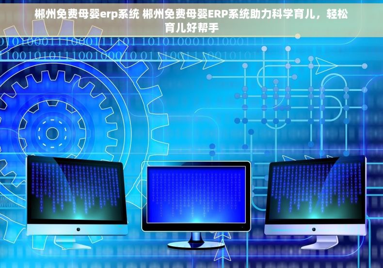 郴州免费母婴erp系统 郴州免费母婴ERP系统助力科学育儿，轻松育儿好帮手