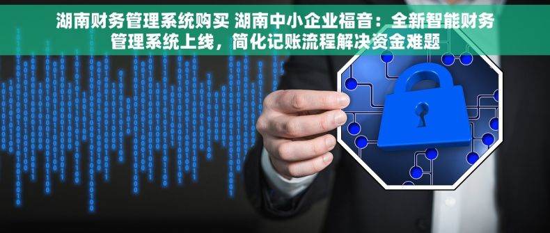 湖南财务管理系统购买 湖南中小企业福音：全新智能财务管理系统上线，简化记账流程解决资金难题