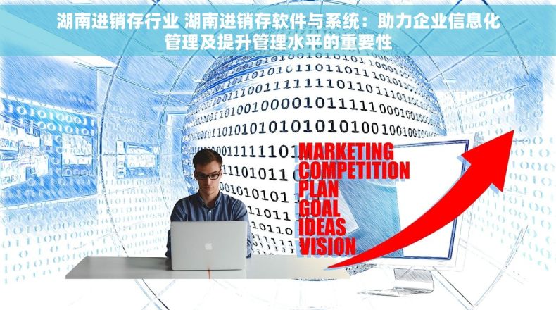 湖南进销存行业 湖南进销存软件与系统：助力企业信息化管理及提升管理水平的重要性