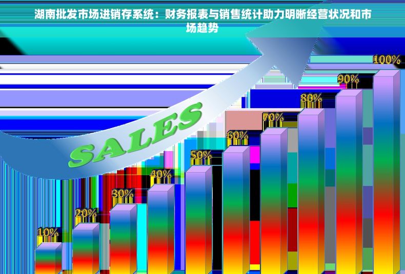 湖南批发市场进销存系统：财务报表与销售统计助力明晰经营状况和市场趋势