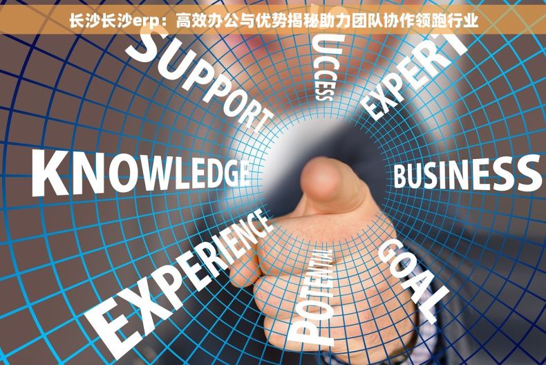 长沙长沙erp：高效办公与优势揭秘助力团队协作领跑行业