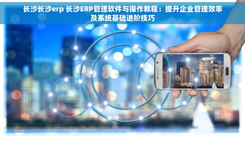 长沙长沙erp 长沙ERP管理软件与操作教程：提升企业管理效率及系统基础进阶技巧