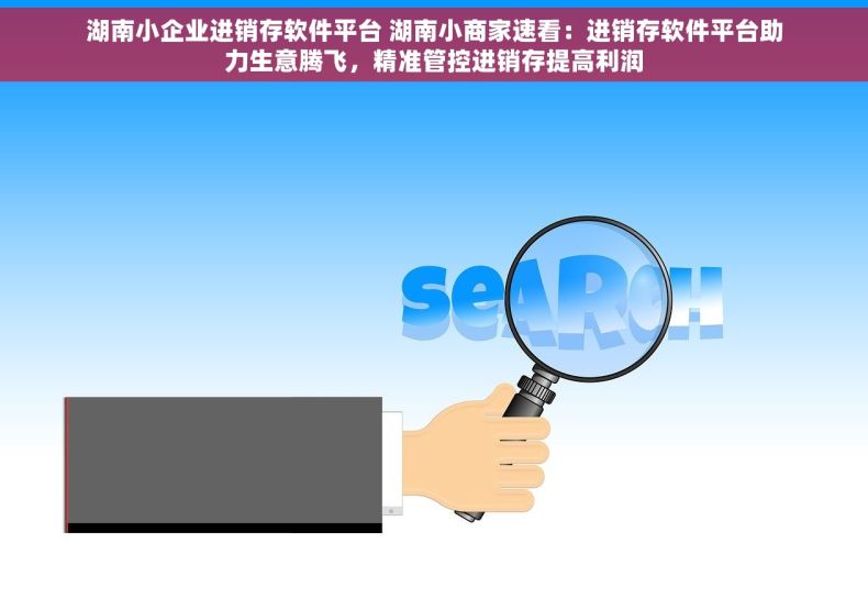 湖南小企业进销存软件平台 湖南小商家速看：进销存软件平台助力生意腾飞，精准管控进销存提高利润